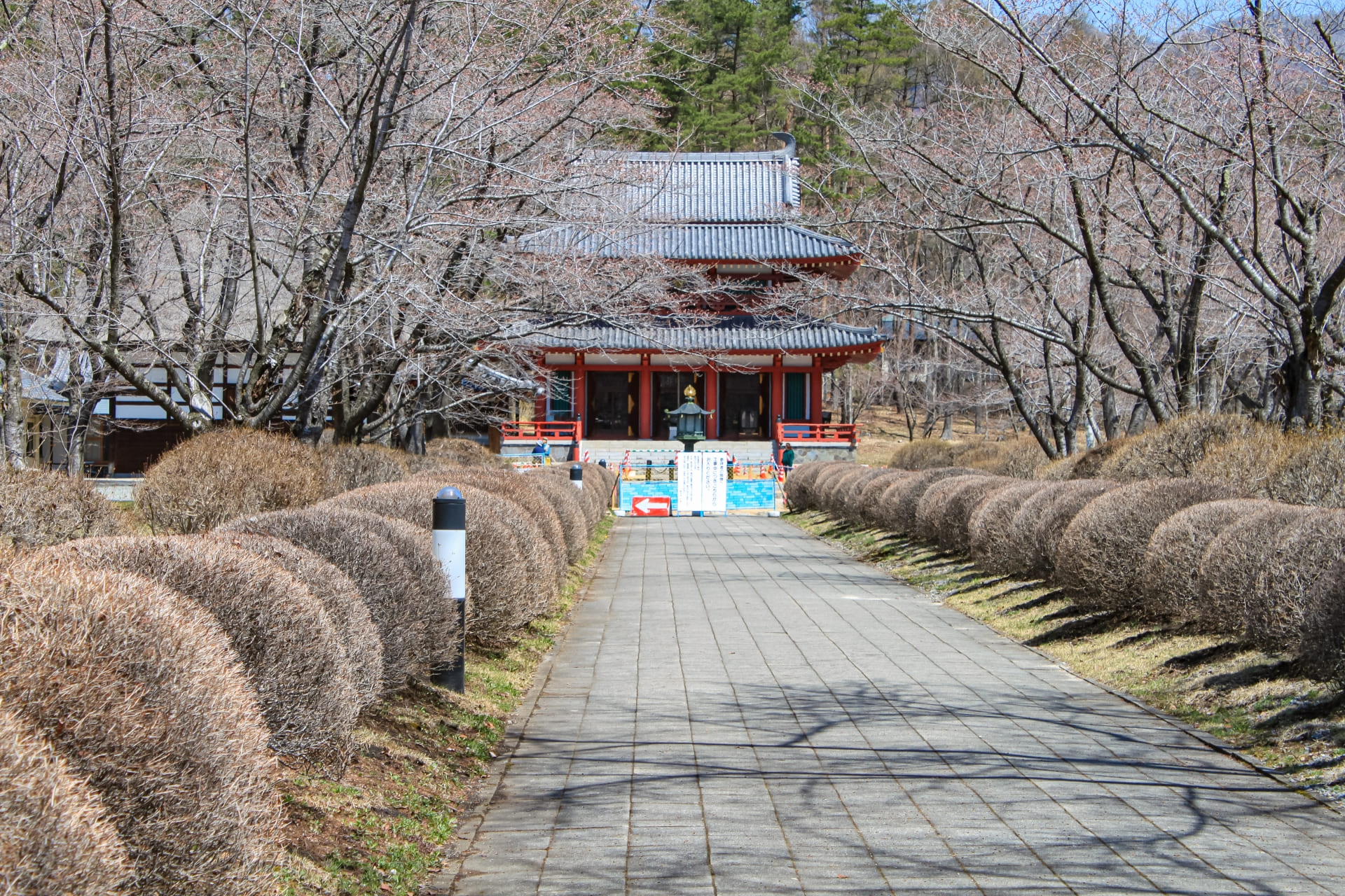 ゴールデンウィークの蓼科山聖光寺で桜の見ごろを楽しむ